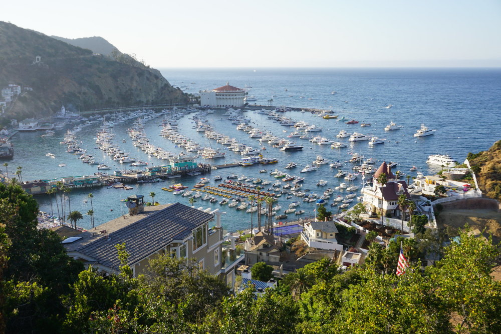 This image shows a view of the crescent shaped Avalon Bay with a harbor full of various size docked boats. The mountainous terrain surrounding the Bay is filled with lush vegetation and buildings nestled along the steep terrain. In the distance, the casino is located at the end of the Bay. Various boats are docked in the bay in rows mimicking the crescent shape of the harbor. The long pier breaks up this docking formation as smaller boats and hand powered craft are docked near the pier for the public to use.