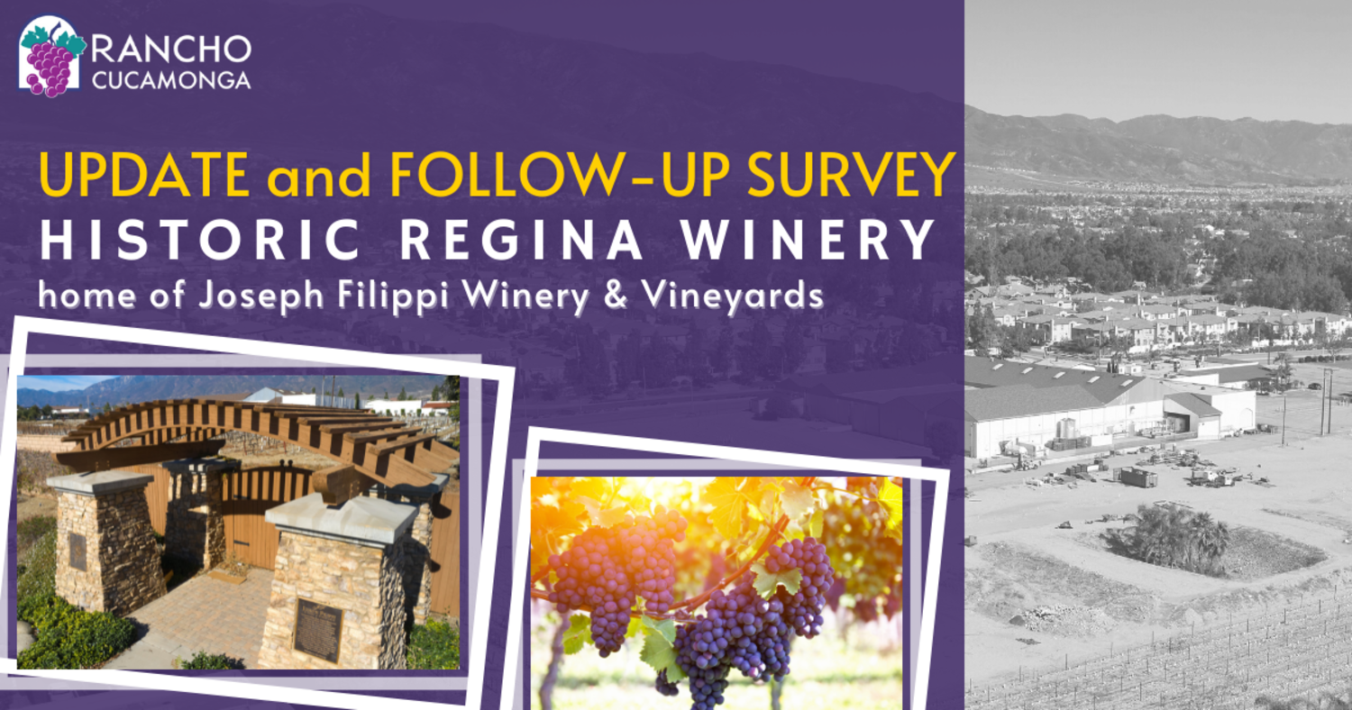 Featured image for Regina Winery Update and Follow-Up Survey