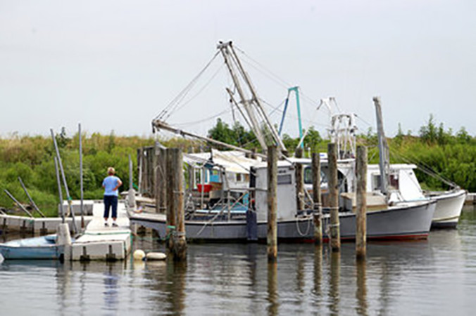 Bucktown has a long history of providing facilities in support of local commercial fishing. Are you in support of expanding facilities for local commercial fishermen? (select one)