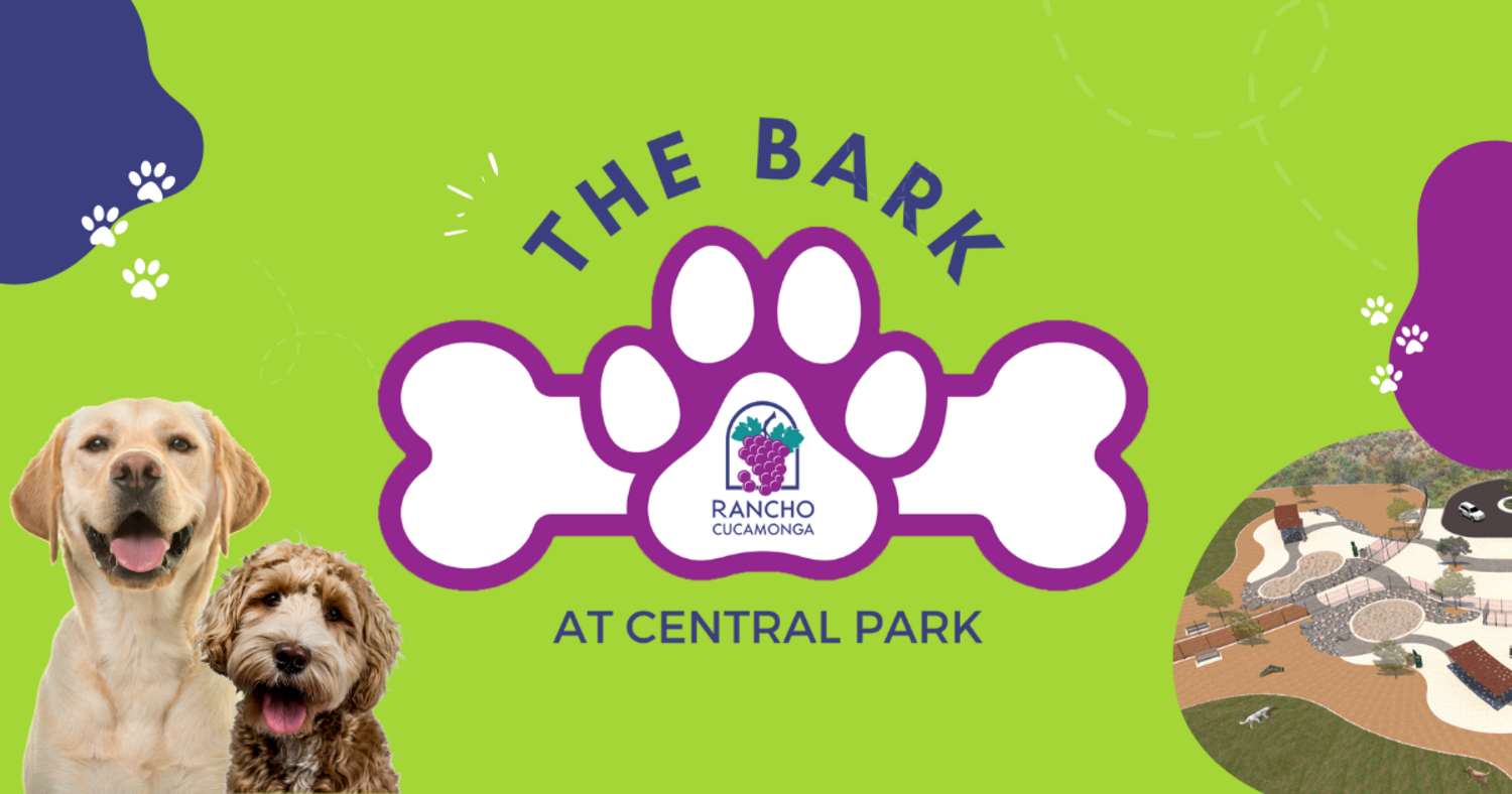Featured image for The Bark at Central Park