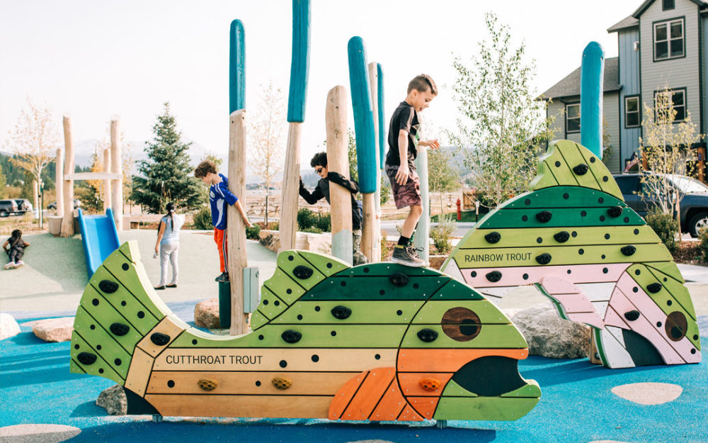 Wooden fish playground feature