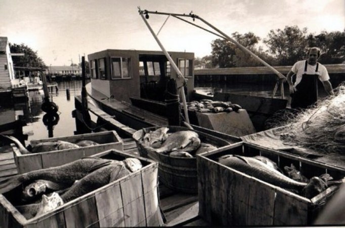 Are you in support of development of cultural facilities and features that celebrate the heritage of commercial fishing at Bucktown and the Lake? (select one)