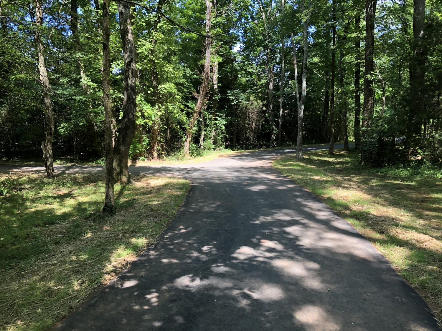 Featured image for Walker Branch & Hoover Creek Greenway