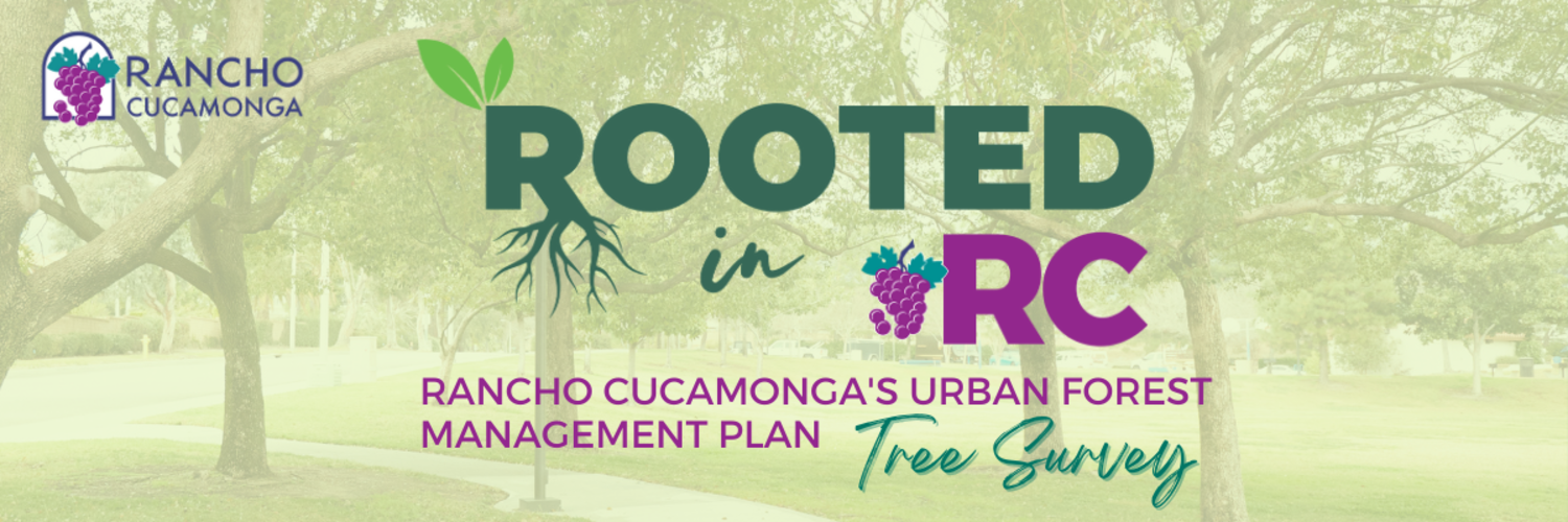 Featured image for Rooted In RC Tree Survey