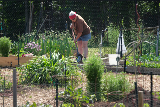 If you could add a Community Garden to one existing Mecklenburg County park property where would you add one?
