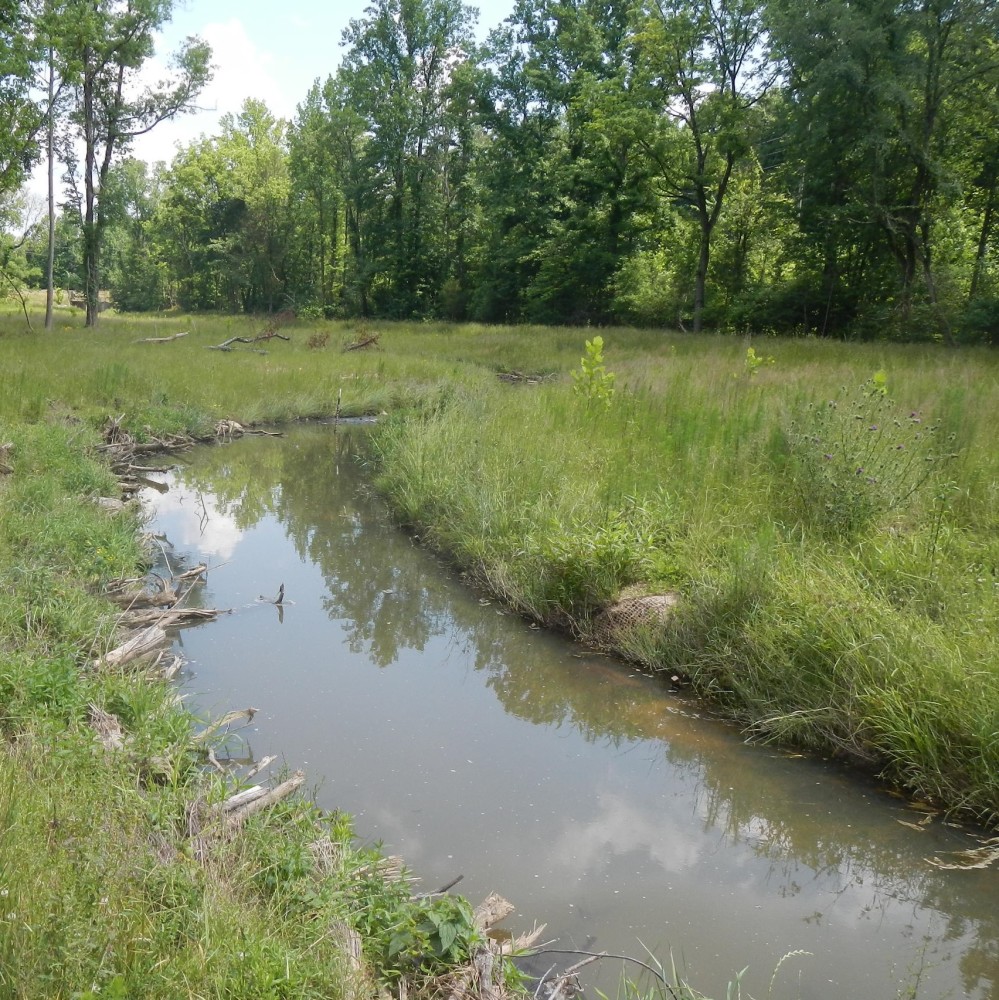 example of stream restoration