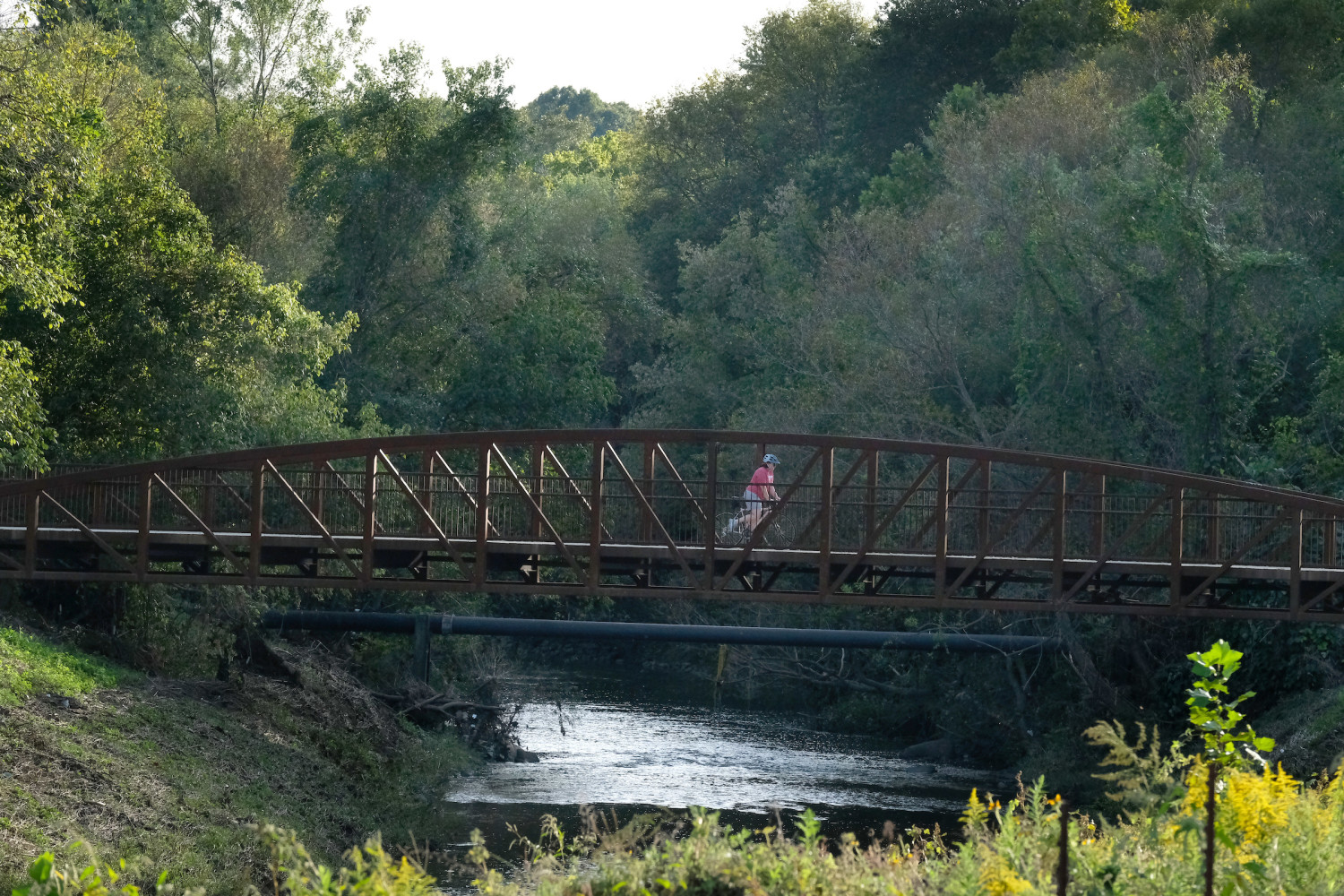 Featured image for Sugar Creek Greenway: Yorkmont to McDowell Farms
