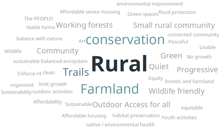 What are one to three words describing your vision for the area?